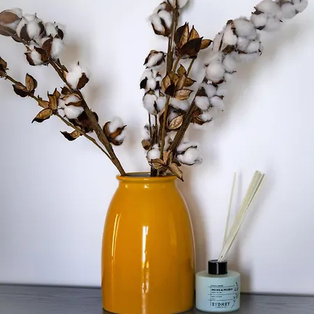 Laurus-1 By Interhome