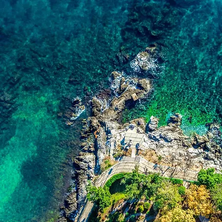 Laurus-1 By Interhome