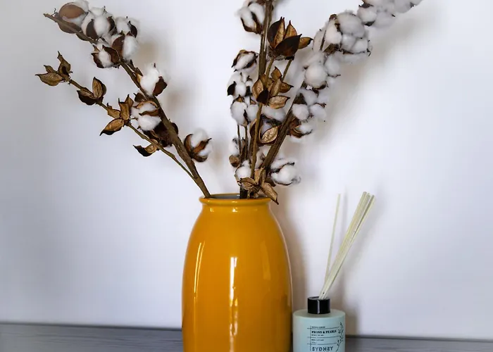 Laurus-1 By Interhome